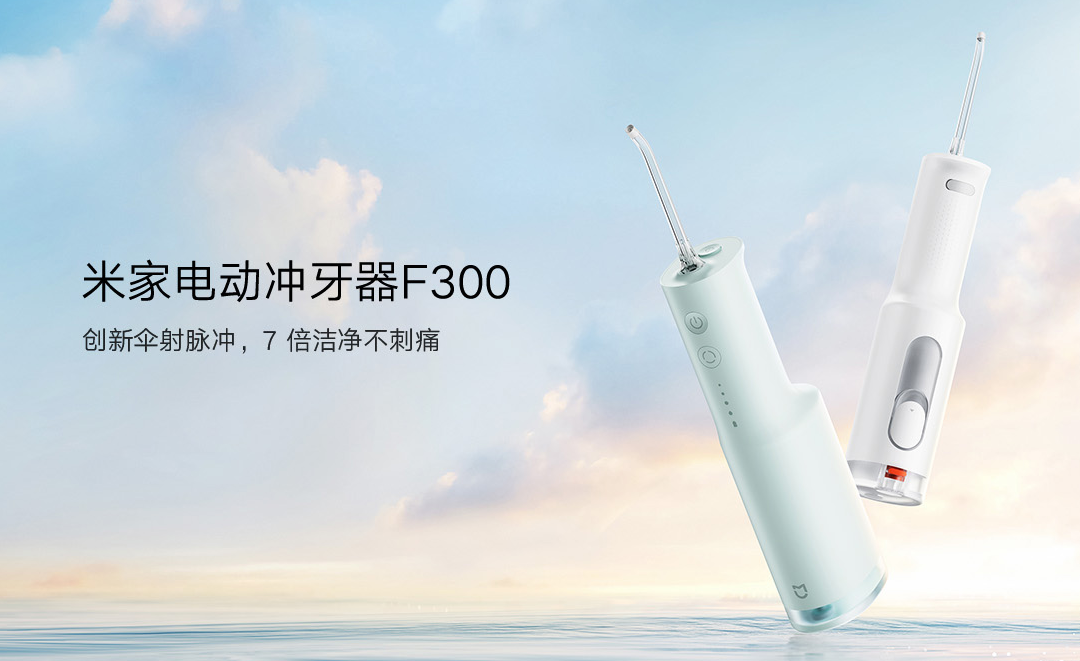 Xiaomi mijia electric teeth flosser f300 smoked